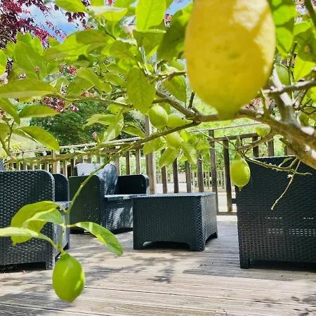 Flower La Pibola Camon (Languedoc-Roussillon)