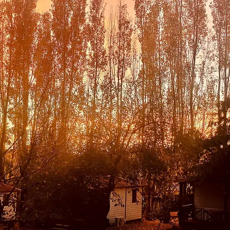 Flower La Pibola 营地 Camon (Languedoc-Roussillon)