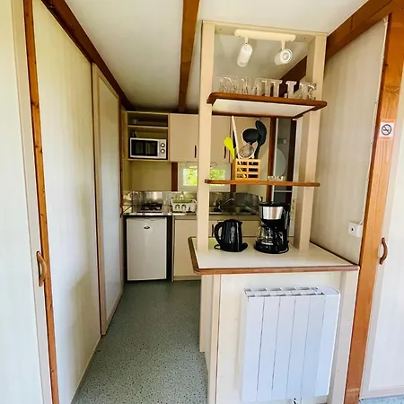 Flower La Pibola Camon (Languedoc-Roussillon)