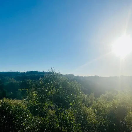 Flower La Pibola 营地