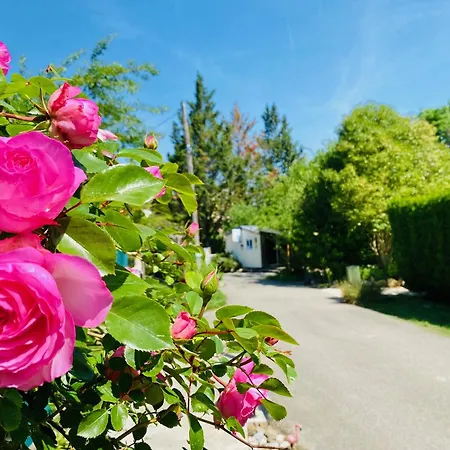 Flower La Pibola Κάμπινγκ *