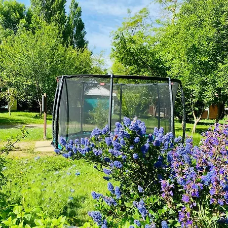 Flower La Pibola * Camon (Languedoc-Roussillon)